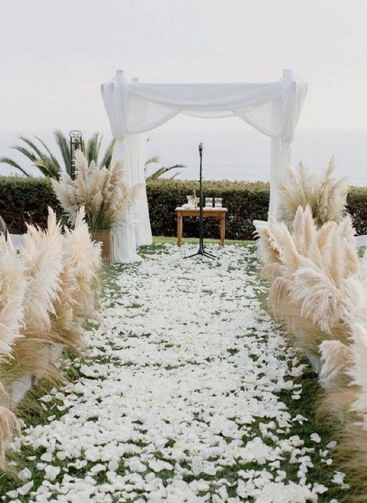 White Dried Pampas grass bouquets leading a wedding aisle to the alter where a white sheet sets the altar shape. 