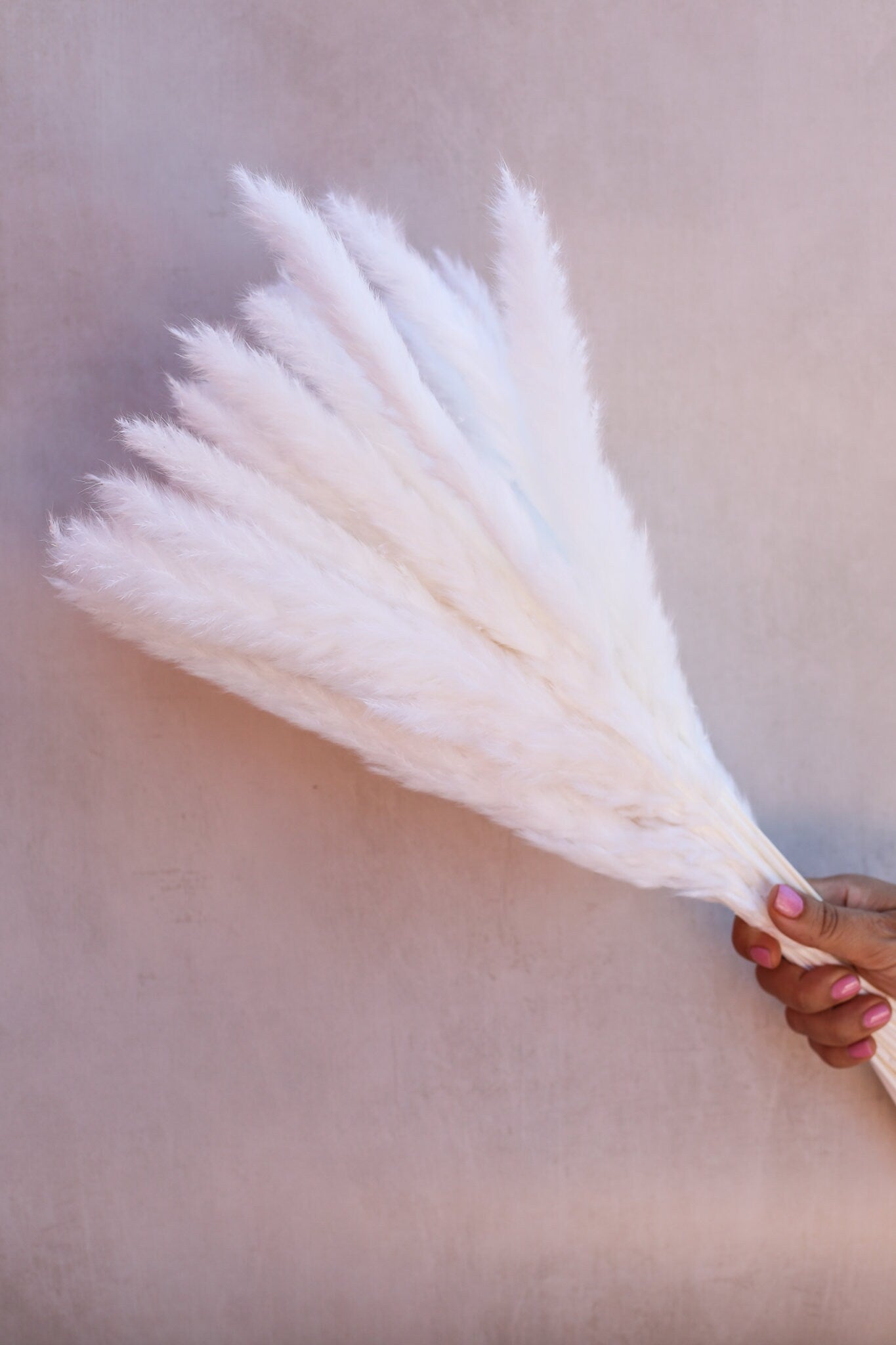 Chic Cloud Pampas: Petite White Plumes for Modern Vibes