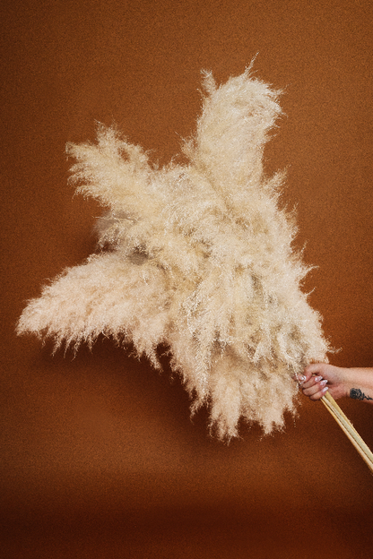 ShopBella Lexie Extra Large and Fluffy 48" Tall Natural DRIED PAMPAS GRASS Bouquet